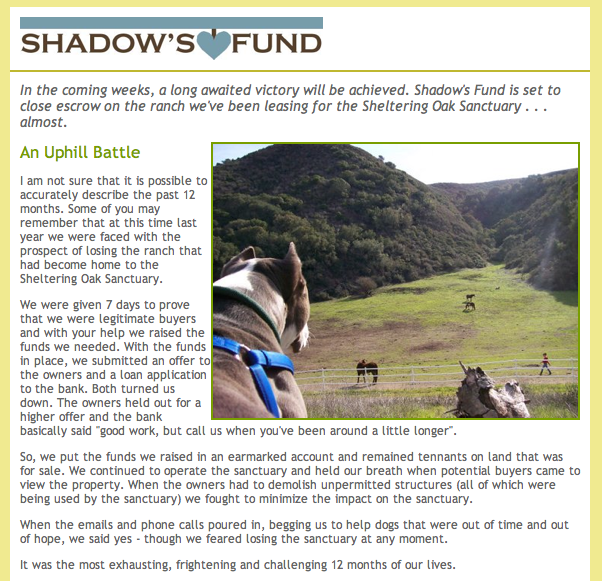Shadow's Fund Sheltering Oaks Sanctuary Pitbull Rescue